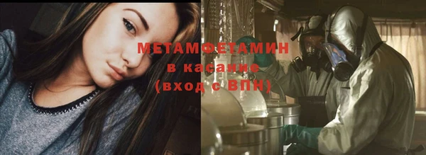 хмурый Белокуриха