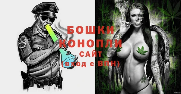 хмурый Белокуриха