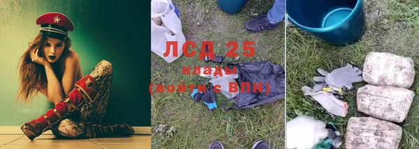 хмурый Белокуриха