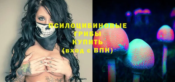 гидропоника Белоозёрский