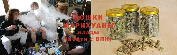 хмурый Белокуриха