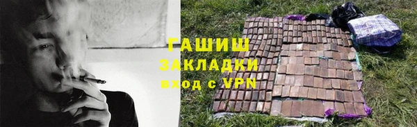 хмурый Белокуриха